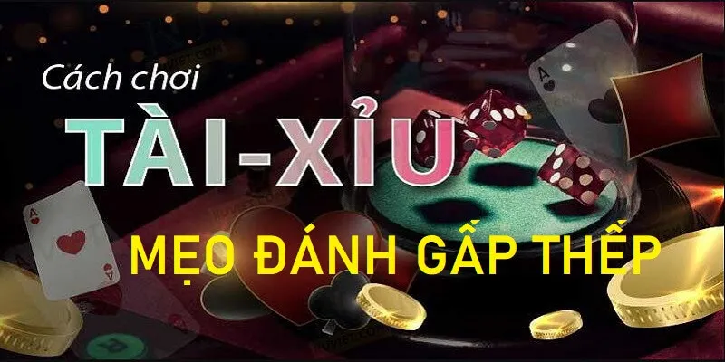 Bí kíp chơi gấp thếp cho tân binh