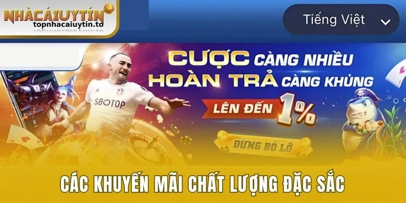 Các khuyến mãi chất lượng đặc sắc