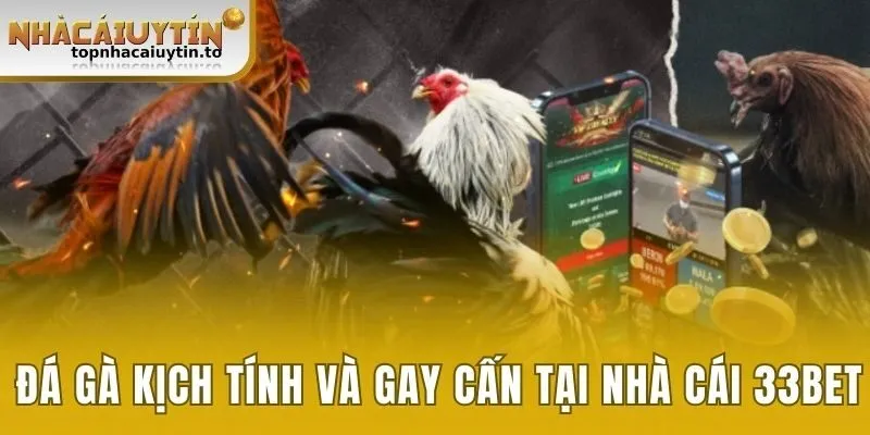 Đá gà kịch tính và gay cấn tại nhà cái 33bet