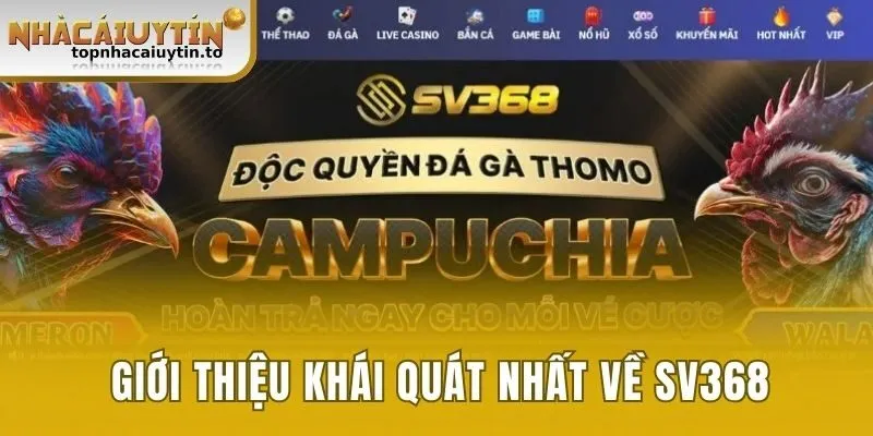 Giới thiệu khái quát nhất về SV368