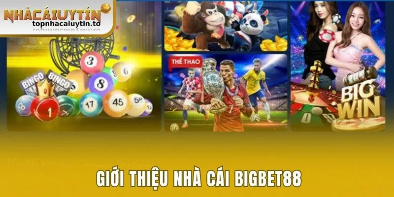Giới thiệu nhà cái Bigbet88