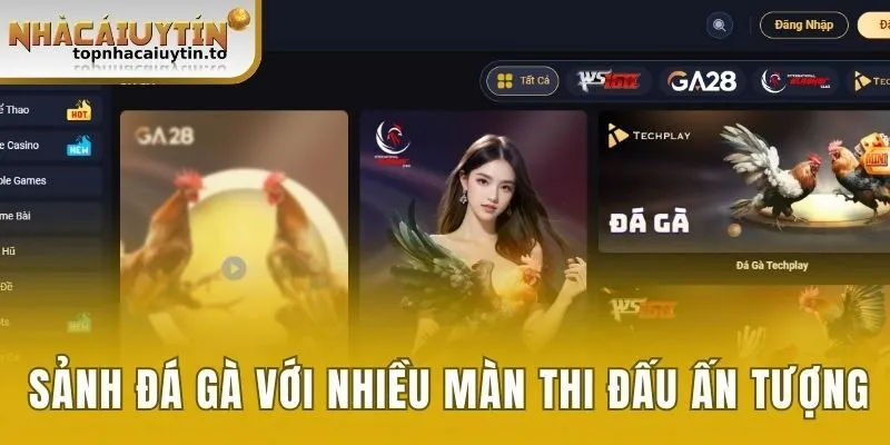 Sảnh đá gà với nhiều màn thi đấu ấn tượng của các chiến kê