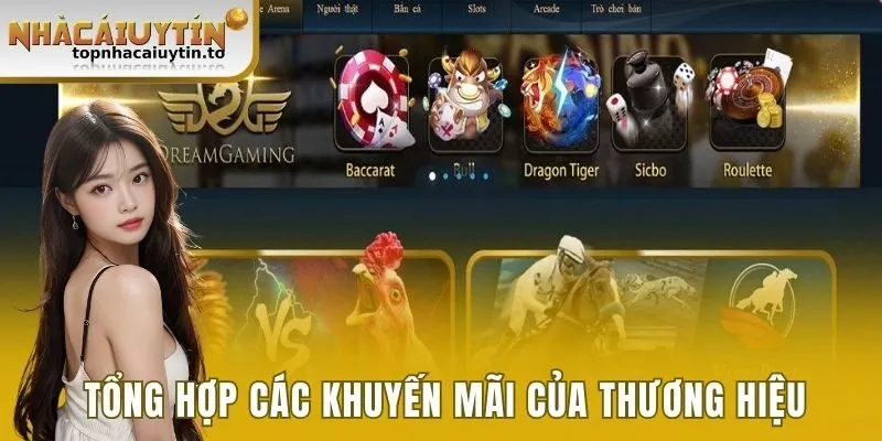 Tổng hợp các khuyến mãi của thương hiệu